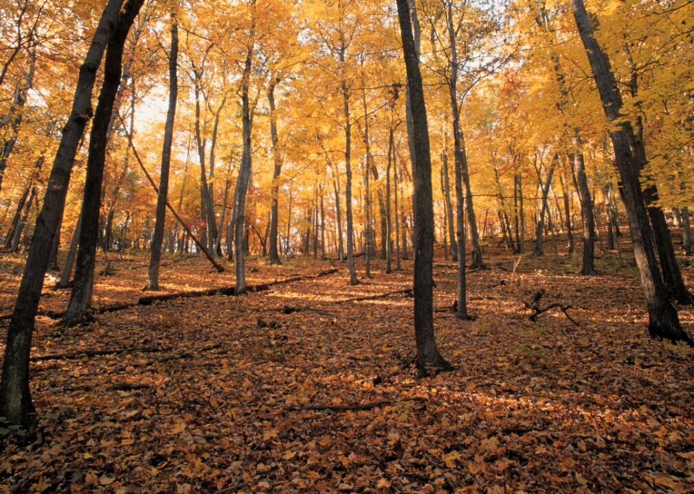Pennsylvania: Fox Chapel Borough